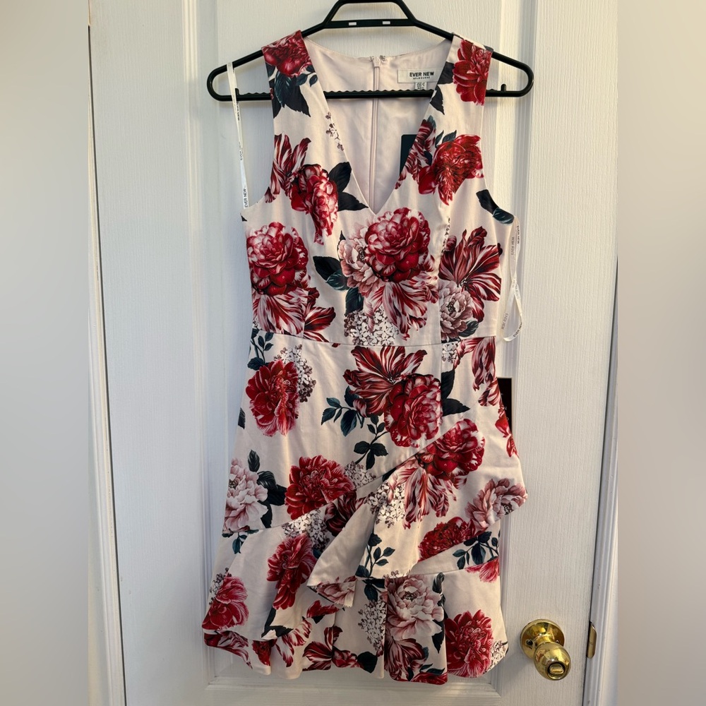 Ever New Floral Sleeveless Dress - Red and White
